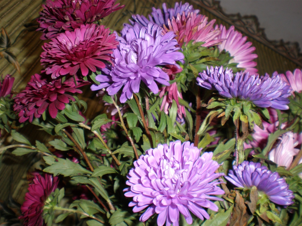 P9172721   