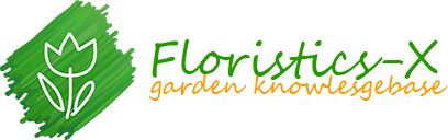 Floristics – horticultural, garden and indoor plants: planting, care and cultivation
