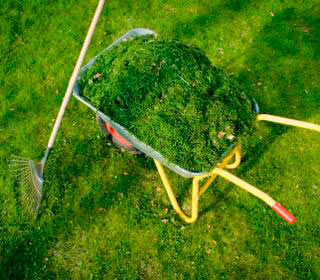 Использование травы для мульчирования